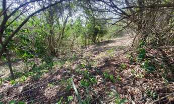 Imagem 5: Lotes a partir de 546m² com RGI, em Barreira