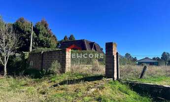 Imagem 4: Lote em Rua do Sossego - Veraneio Hampel - São Francisco de Paula/RS
