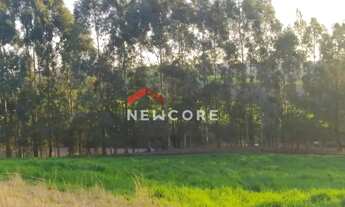 Imagem 6: Sítio em Interior - Interior - Zona Rural - São Francisco de Paula/RS