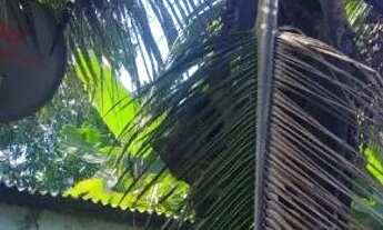 Imagem 7: Vendo lote em barramares