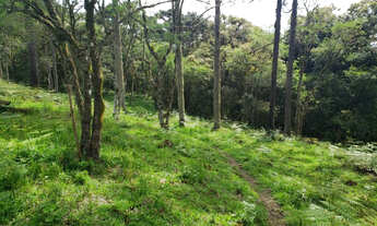 Imagem 2: 17 Hectares na rota de Urupema/Rio Rufino