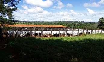 Imagem 5: 648 Alqueires em Doverlandia Go