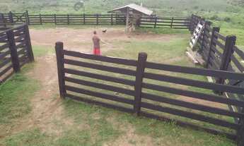 Imagem: Fazenda 74 alqueires com 70 de capim! Mun-de