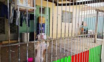 Imagem 5: 4 casas juntas para aluguel em Araraquara