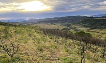 Imagem 2: Urubici/Sítio/Chácara á venda em Urubici