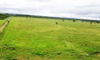 Imagem 2: Fazenda em Filadélfia - Araguaína