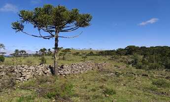 Imagem 2: Urubici/Sítio/Chácara á venda em Urubici