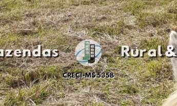 Imagem 6: Fazenda 110 Hectáres Nova Alvoada Do Sul/MS Riquíssima em água
