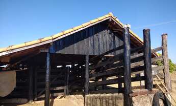 Imagem 4: Fazenda em Filadélfia - Araguaína