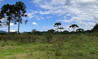 Imagem 5: Urubici/Sítio/Área Rural com 3,00ha de área total, para venda. Pericó, São Joaquim (SC