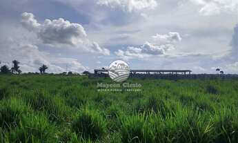 Imagem 1: Venda - Fazenda - Machadinho D'Oeste - 175 Alqueires top para soja
