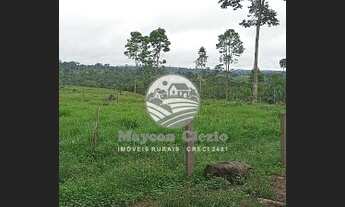 Imagem 2: Venda - Sítio - Machadinho D'Oeste - 12 Alqueires barato