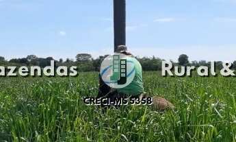 Imagem 7: Fazenda 110 Hectáres Nova Alvoada Do Sul/MS Riquíssima em água