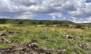 Imagem 7: Urubici/Sítio/Chácara/Área Rural com 2,00ha de área total, para venda. Urubici (SC