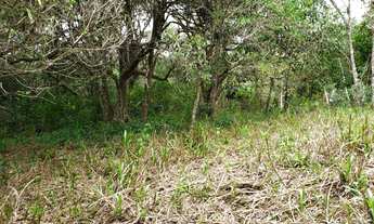 Imagem 2: Terreno à venda, 2500 m² por R$ 350.000,00 - Jordão - Governador Celso Ramos/SC