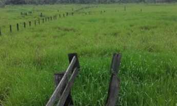 Imagem 3: Fazenda a venda Município de Brasnorte - MT