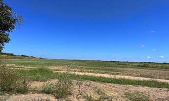 Imagem 4: Vendo Fazenda de 10.500 hectares, Município do Piauí !!!