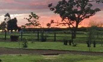 Imagem 3: Chácara 4,13 hectares com requinte e sofisticação da região Sul