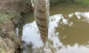 Imagem 3: Terreno com lagoa em Jaboticatubas