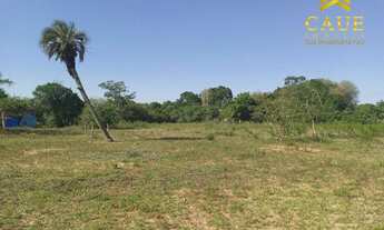 Imagem 4: Sítio 10.000m2 c/casa simples e galpão