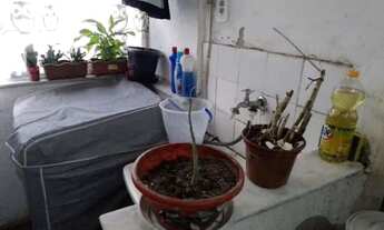 Imagem 4: )Casa para venda tem 100 metros quadrados com 2 quartos em Coqueiro - Belém - Pará