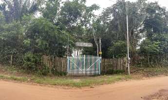 Imagem: Sítio em Curuçá com Igarapé