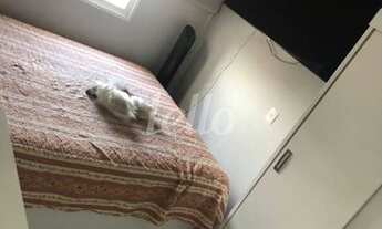 Imagem 7: São Paulo - Apartamento Padrão - Belém