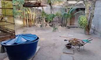 Imagem 3: Casa / chácara em Marechal Deodoro