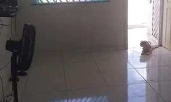 Imagem 3: Linda casa para alugar garagem para ate 5 carros