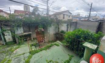 Imagem 7: São Paulo - Terreno Padrão - Casa Verde