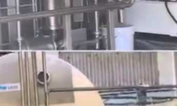 Imagem 4: Vende -se laticínio em Delfim Moreira