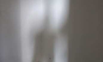 Imagem 2: Alugo casa em Piedade