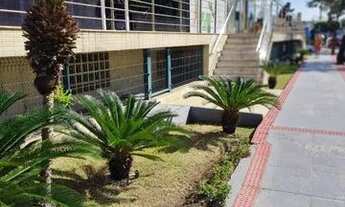 Imagem 4: Aluga-se Loja Itapoa