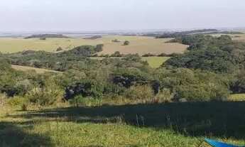 Imagem 3: Velleda oferece excelente fazenda, 175 hectares, para pecuária, Águas Claras, Viamão