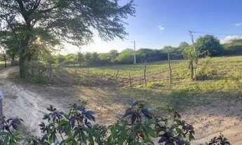 Imagem 6: Terreno 37 x 65 Chácara com venda por R$35.000