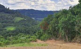 Imagem 7: Sítio no bairro 2a Légua em Caxias do Sul!