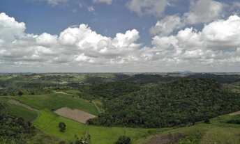 Imagem 7: Vendo fazendinha em Nazaré das farinha