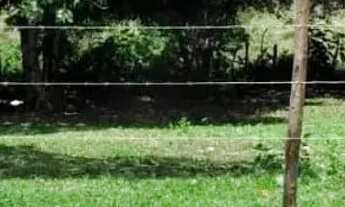 Imagem 7: Excelente terreno de esquina - Parque dos Faróis - Escriturado/Registrado