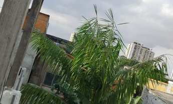 Imagem 3: Alugo ótima casa de 3 andares na Caripunas 762 Casa 4