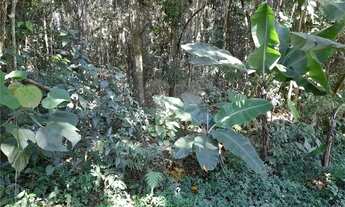 Imagem 5: Terreno à venda em Roseira - SP