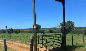 Imagem 5: Fazenda a venda em Crixas / Goiás