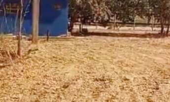 Imagem 4: Terreno com casa a venda. Corumbá IV