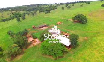 Imagem: Fazenda à venda com 217,80 hectares (45