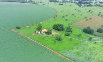 Imagem 6: FAZENDA COM 580HEC COMPLETA, ALTO POTENCIAL!!