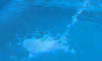 Imagem 4: Venda de lote Terreno / lote com venda por R$30.000