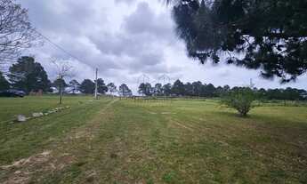 Imagem 5: Excelente área com 3Ha na localização que mais cresce na cidade!