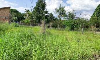 Imagem 5: Vende-se Terreno em São Francisco do Pará