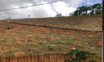 Imagem 4: Venda-se está propriedade de 4,1355 hectares 41.399 M²no interior do Município de Atílio V