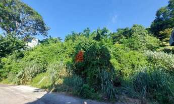 Imagem 3: Terreno à venda, 6634 m² por R$ 1.000.000,00 - São Francisco - Niterói/RJ