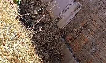 Imagem 3: TERRENO À VENDA RESIDENCIAL/ COMERCIAL RESIDENCIAL DI NAPOLI CEDRAL-SP